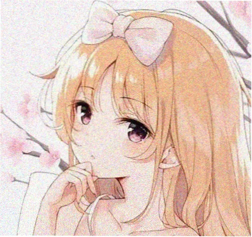 观众沈拾的头像